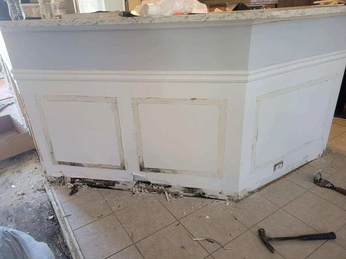 Water damage and mold on kitchen during Sewage Cleanup & Sanitation in LaSalle